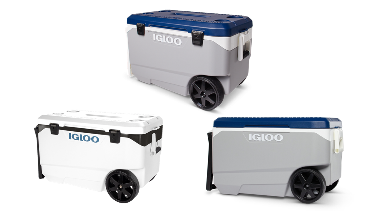 igloo-expands-cooler-recall-to-1.2m,-26-fingertip-amputations-reported